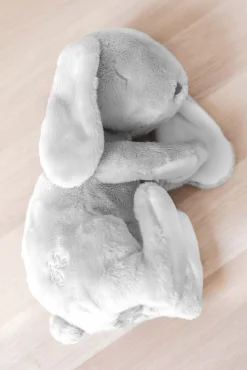 Tartine et Chocolat Augustin le Lapin Dormeur 25 cm| Lapin, Augustin|Peluches