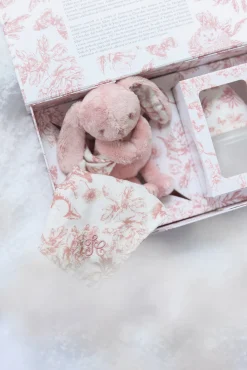 Tartine et Chocolat Coffret biberon et doudou Toile de jouy rose Élhée x| Bavoirs - Accessoires De Repas|Coffrets