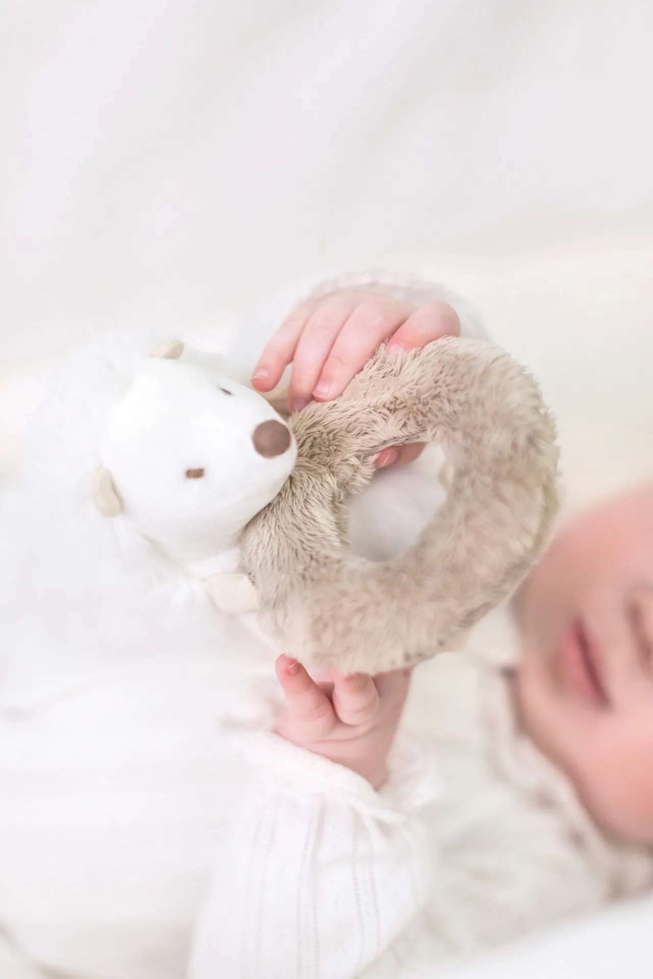 Tartine et Chocolat Léon le hérisson Hochet| Hérisson, Léon|Jouets D'Éveil