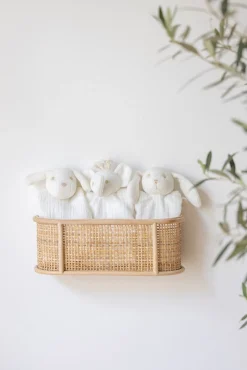 Tartine et Chocolat Lucien le chien Doudou coton bio| Chien, Lucien|Ligne Bio