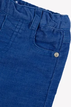 Tartine et Chocolat Pantalon Bleu électrique en velours| Pantalons - Jeans