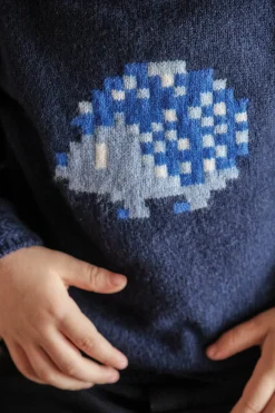 Tartine et Chocolat Pull Marine illustration hérisson pixel| Pulls - Gilets - Sweats